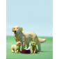 set-hond-met-puppys-LY608074-1.jpg